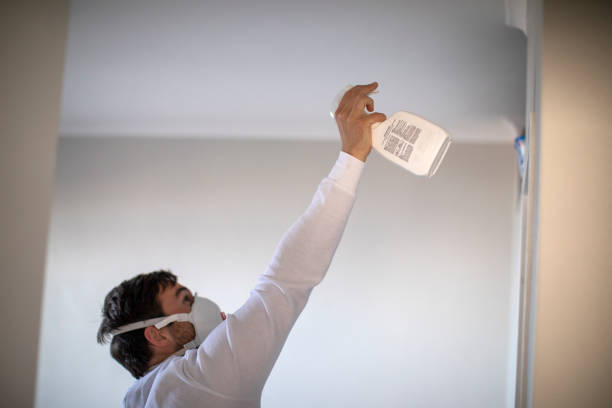 Best Emergency Mold Removal  in Elizabethville, PA