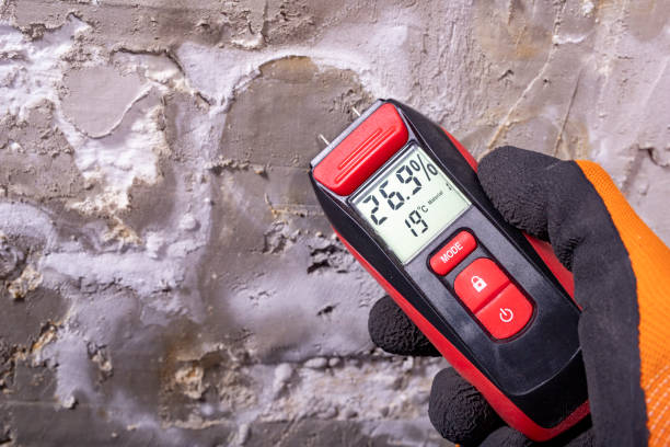 Best Residential Mold Removal  in Elizabethville, PA