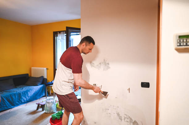 Best Crawl Space Mold Removal  in Elizabethville, PA